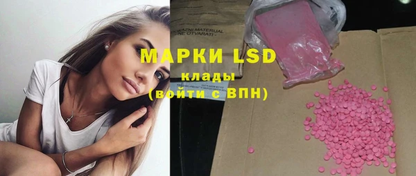 ГАЛЛЮЦИНОГЕННЫЕ ГРИБЫ Вяземский