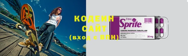 ГАЛЛЮЦИНОГЕННЫЕ ГРИБЫ Вяземский