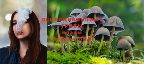 ГАЛЛЮЦИНОГЕННЫЕ ГРИБЫ Вяземский