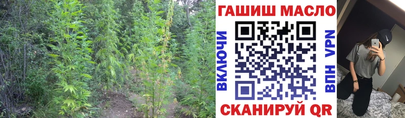цена наркотик  Карабаново  ТГК вейп с тгк 