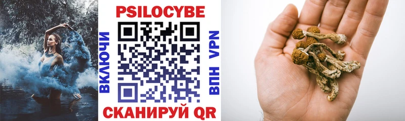 Галлюциногенные грибы прущие грибы  хочу   Карабаново 