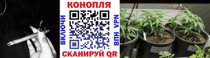 даркнет сайт  Карабаново  mega ссылки  Бошки Шишки OG Kush 